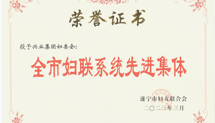 喜報！興業(yè)集團(tuán)婦委會榮獲“全市婦聯(lián)系統(tǒng)先進(jìn)集體”榮譽(yù)稱號