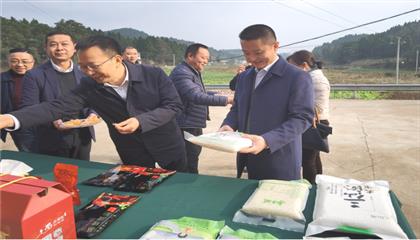 市委常委、政法委書記劉波濤帶隊調(diào)研指導定點幫扶村鄉(xiāng)村振興工作